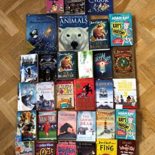 Maple World Book Day recommendations